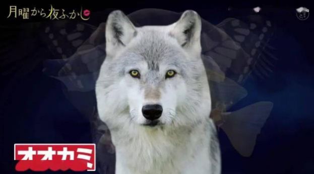 ѡĶжԸϷͼ2: