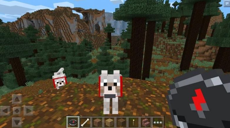 ҵbeta1.16.100.55y(c)ԇdD3: