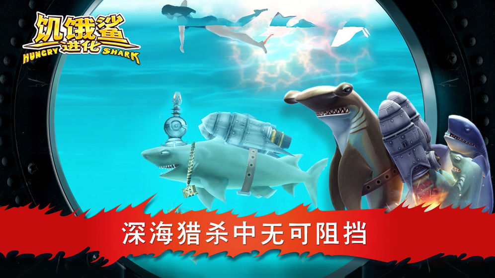 ʳ˻ʯ氲׿ͼ1: