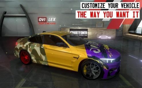 DrivingSchoolSim��׿��ͼ1: