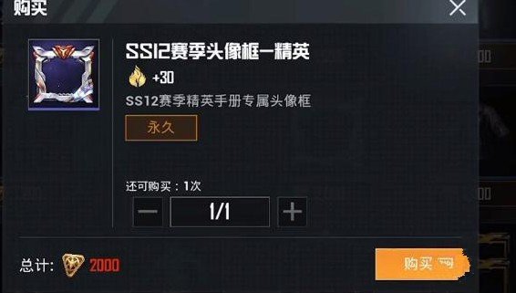 ��ƽ��Ӣss12��ѵ��װ��ô�� ss12��ѵ��װ�۸���Ч���