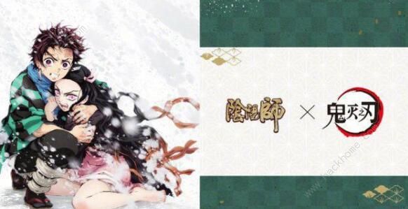 ����ʦ����̿���ɼ��ܹ��� ����̿���ɼ���Ԥ��ͼƬ2