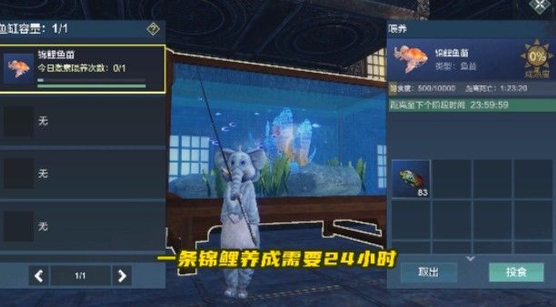 妄想山海锦鲤鱼苗在哪 锦鲤鱼苗获取攻略