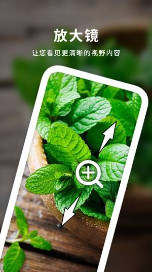 图文放大镜神器软件下载老版本图片1