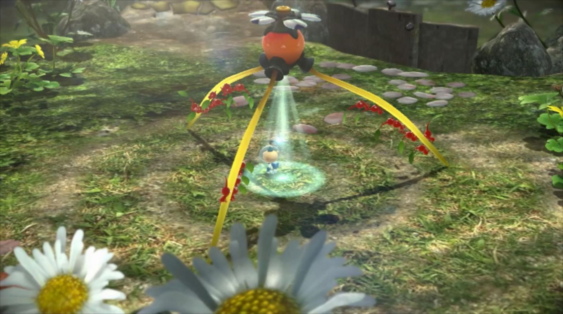 Ƥʢֻ׿أPikmin Bloomͼ3: