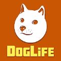 DogLife BitLife Dogs���İ���Ϸ���� v1.0.4