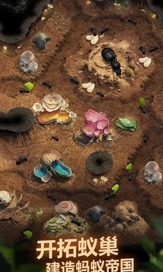 ���ϵ�������1.10.0�����ֻ���ͼ3: