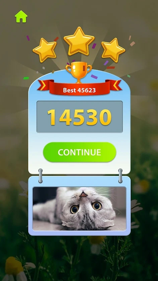 ����ƴͼ��Ϸ��׿�棨Zen Block��ͼ1: