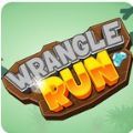 Wrangle Run��Ϸ���İ����� v0.1