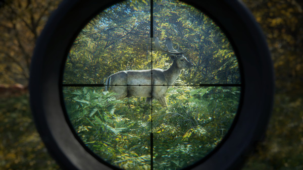 epic theHunter Call of the WildĺͼƬ1