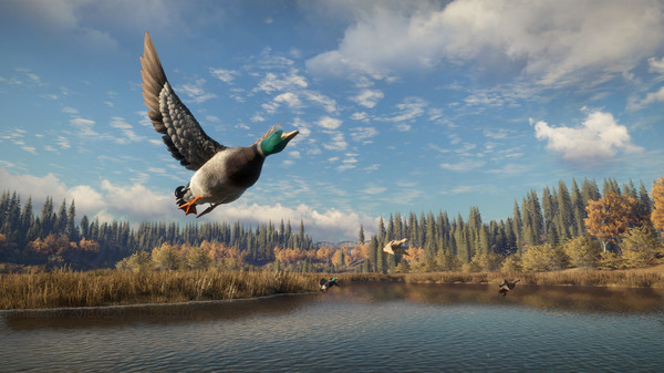 epic theHunter Call of the Wildĺͼ2: