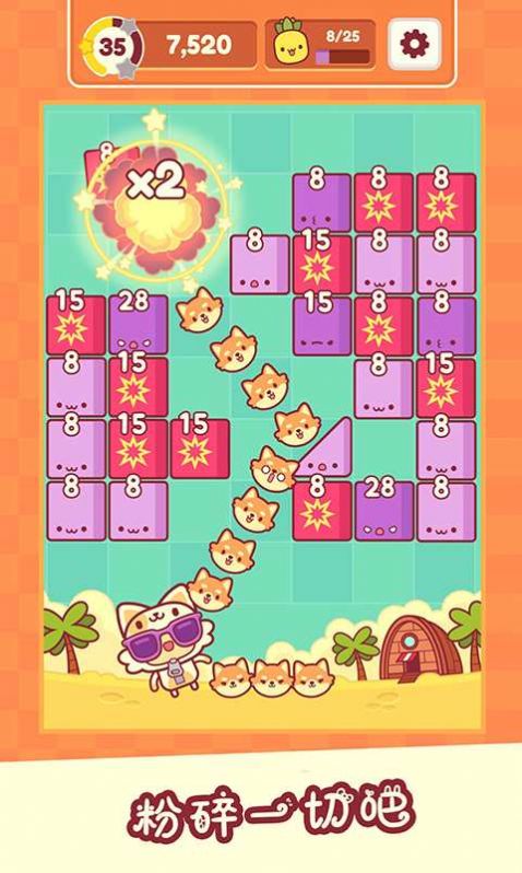 ����è�ϴ���Ϸ�ٷ���ͼ2: