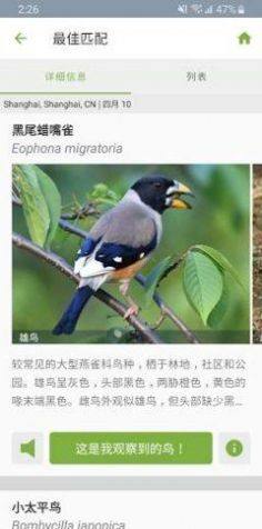 Merlin Bird ID appͼ3