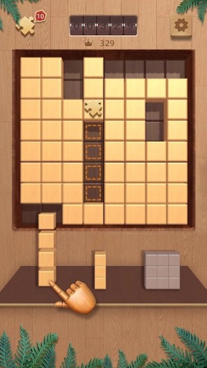 BlockPuz3D[D2