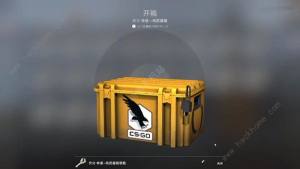 csgoʲô ۸һͼƬ1