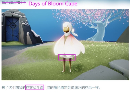 ����ӣ���ڹ�����ʲôʱ��ʼ ʢ�������ӻʱ�估�һ�ͼ