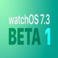 watchOS7.4betaļذװ v1.0.0