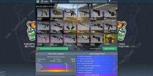 CSGO_ģMW퓰 2021_ģMW퓰ַDƬ2