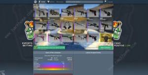CSGO_ģMW퓰 2021_ģMW퓰ַDƬ3