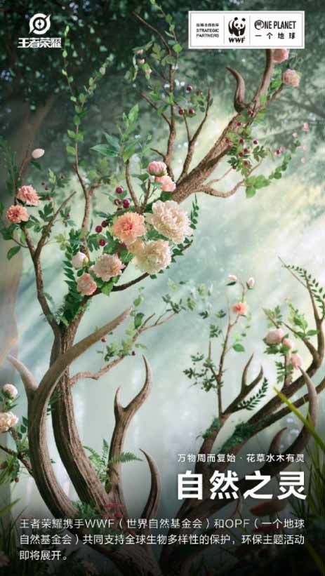 ������ҫwwf����Ƥ����˭�� 2021wwf����Ƥ��ͼƬ��ȫ