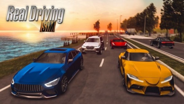 RealDrivingSimĺϷͼ1: