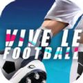 Ϸٷ棨Vive Le Football v1.0.0