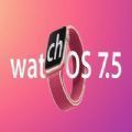 watchOS 7.5 beta2ֻ֧Ͱװļ