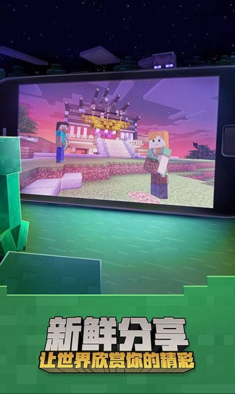 �ֻ����ҵ�����addons�������������İ�ͼ2: