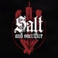 盐与献祭中文游戏手机版（Salt and Sacrifice） v1.0