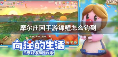 摩尔庄园手游锦鲤怎么钓 锦鲤位置详解