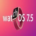 watchOS 7.6 beta4ļ