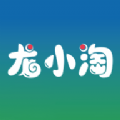 Сapp v1.1.1