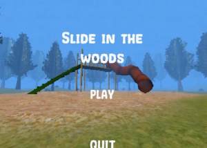 slide in the woods[D3