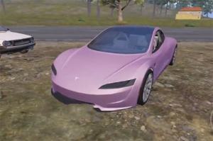 ƽӢ˹RoadsterɫNx ˹RoadsterɫxԈDƬ1