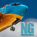 NG Flight SimulatorϷ