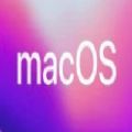 macOS 12 Monterey׸԰