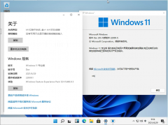 ΢Office Build 14326.20004Ԥͼ3: