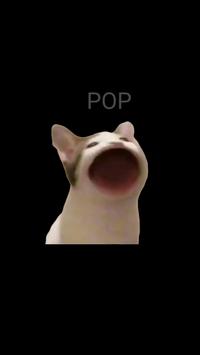 popcatclick[֙CD2: