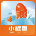 СƷappٷ v1.0.6