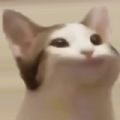 popcat.click游戏安卓版 v1.0