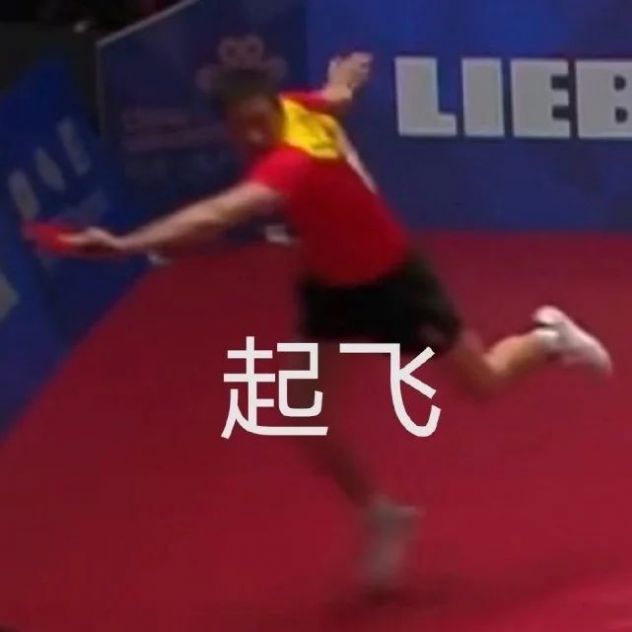 许昕向你敬礼salute表情包图片无水印高清版 v1.0截图