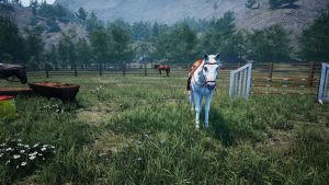 ranch simulator֙CD3