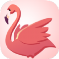 Ѷappٷ 1.0.0
