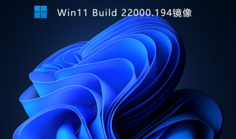 Windows11 Build 22000.194ʽϼ