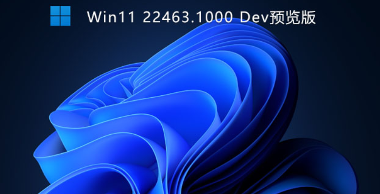 Windows 11 Build 22463.100ʽϼ