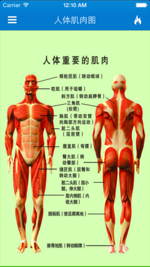 呟ָ3Dappٷ°DƬ1