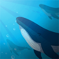 Project Whaleιٷ° v1.0.0