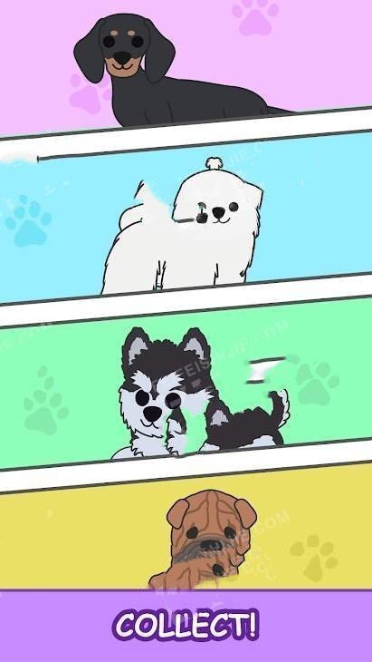 Merge Puppies��Ϸ���°�׿��ͼ2: