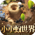 ССϷ׿ v1.31.1