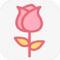 ʶ׿app v1.0